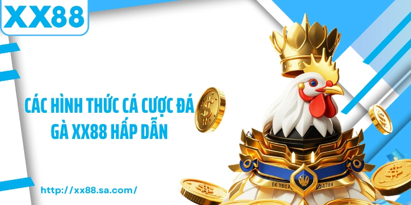 Các hình thức cá cược đá gà XX88 hấp dẫn